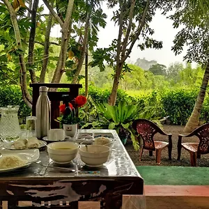 Palace View Accommodatie bij particulieren
